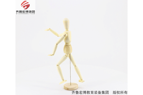 木質關節人